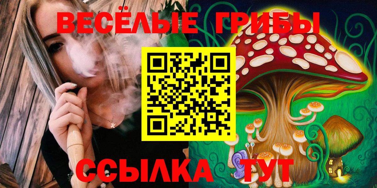 Магадан  Псилоцибиновые грибы прущие грибы  Вход с VPN 